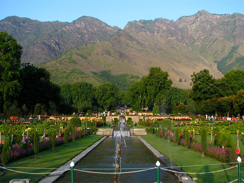 Kashmir Special