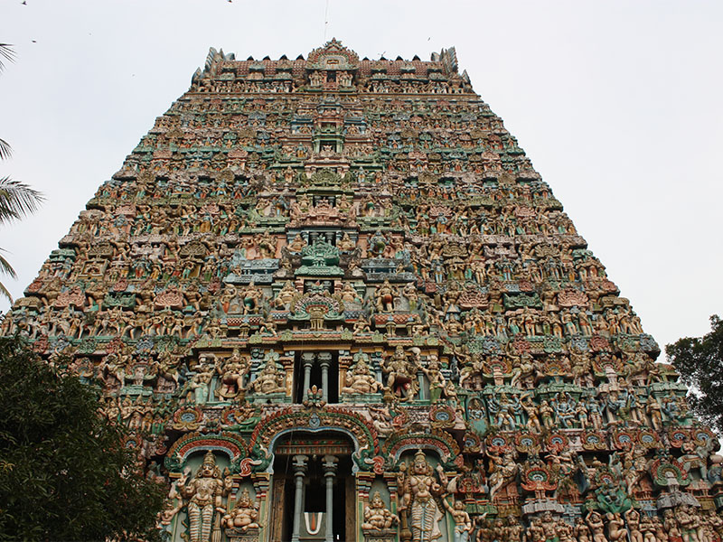 Tamil Nadu & Kerala