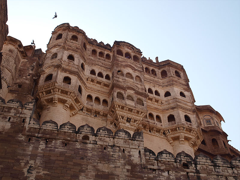 Elegant Rajasthan Gujrat