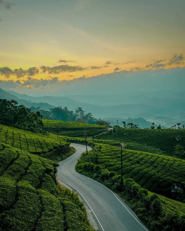 Romantic Kerala Special