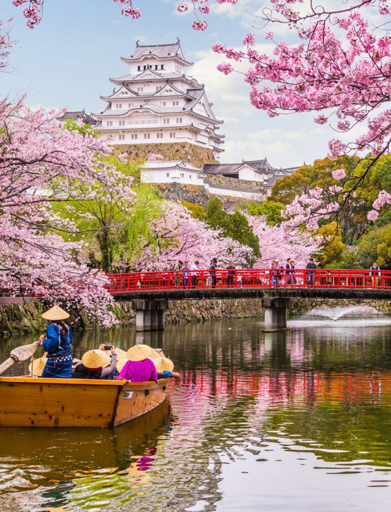 Delightful Japan